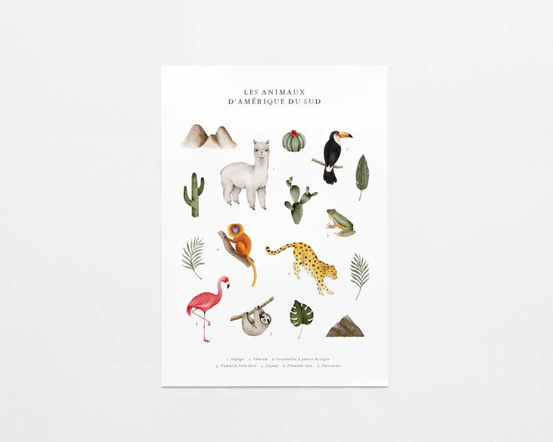 Marie-Lise - Affiche - Animaux d'Amérique du Sud||Marie-Lise - Poster - Animals of South America
